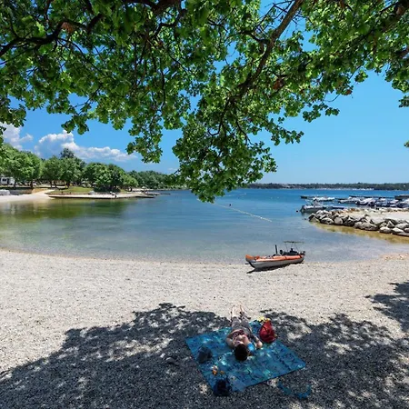 Grey Fuskulin * Porec